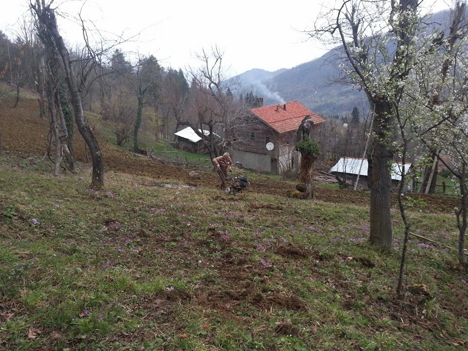 İnebolu Köseköy Köyü Resimleri 6