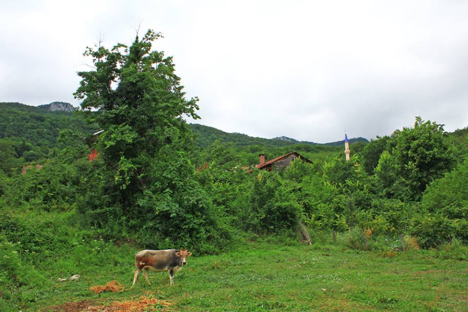 İnebolu Özlüce Köyü Resimleri 5