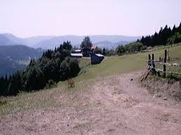 İnebolu Salıcıoğlu Köyü Resimleri 4