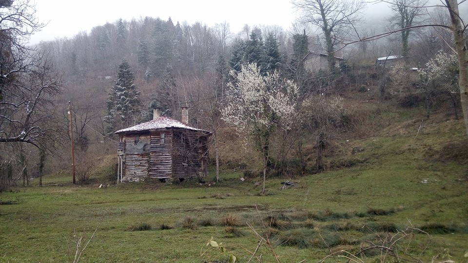 İnebolu Şamalı Köyü Resimleri 6