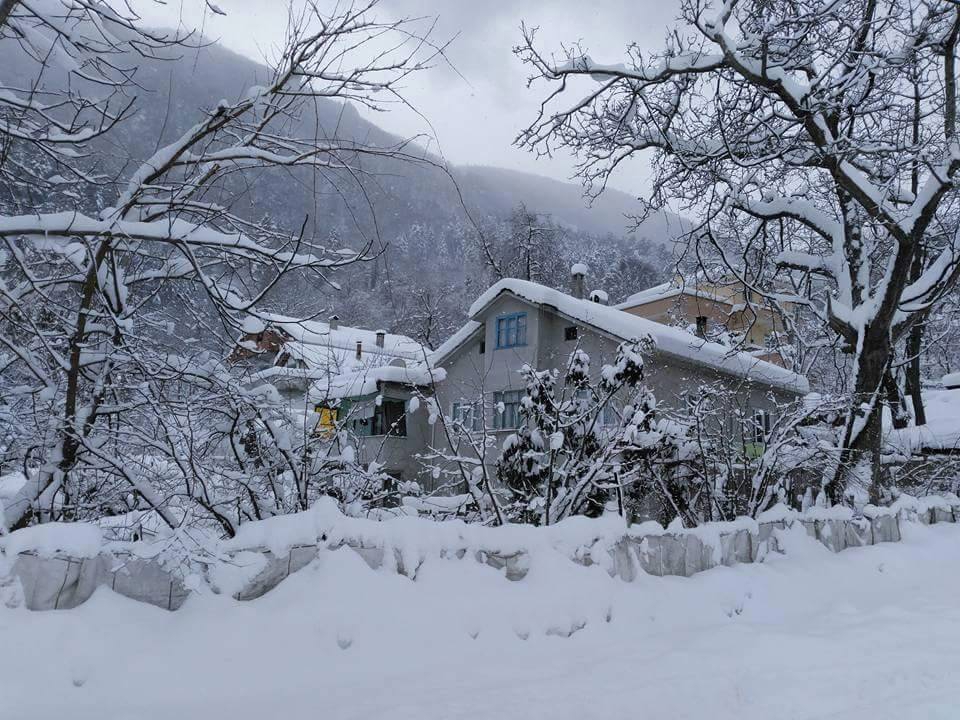 İnebolu Taşburun Köyü Resimleri 8