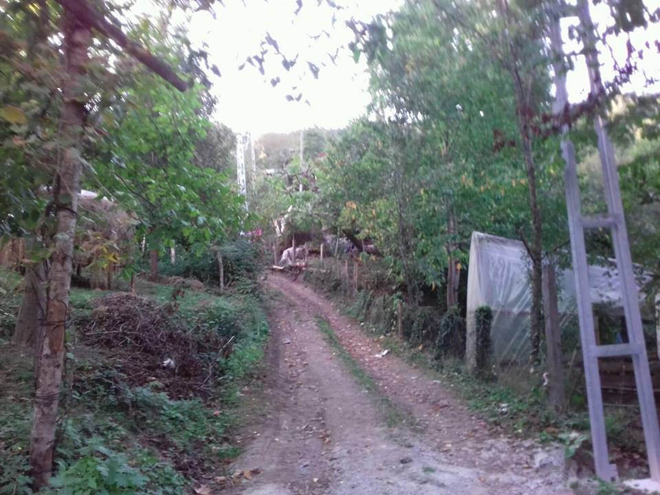 İnebolu Toklukaya Köyü Resimleri 12