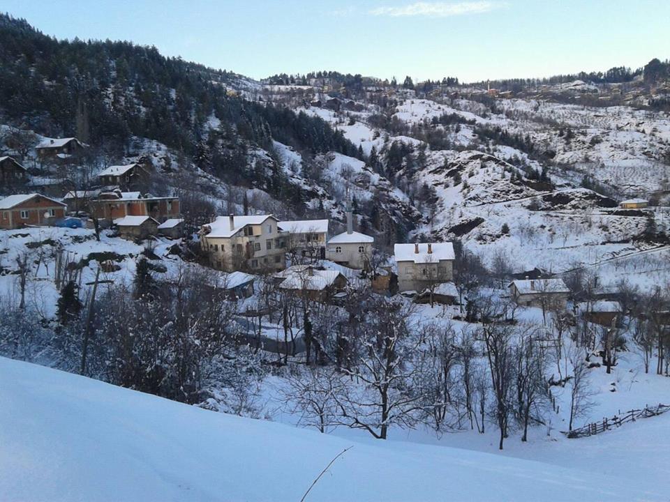 İnebolu Toklukaya Köyü Resimleri 6