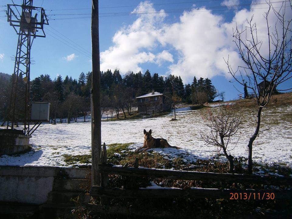 İnebolu Uluköy Köyü Resimleri 12