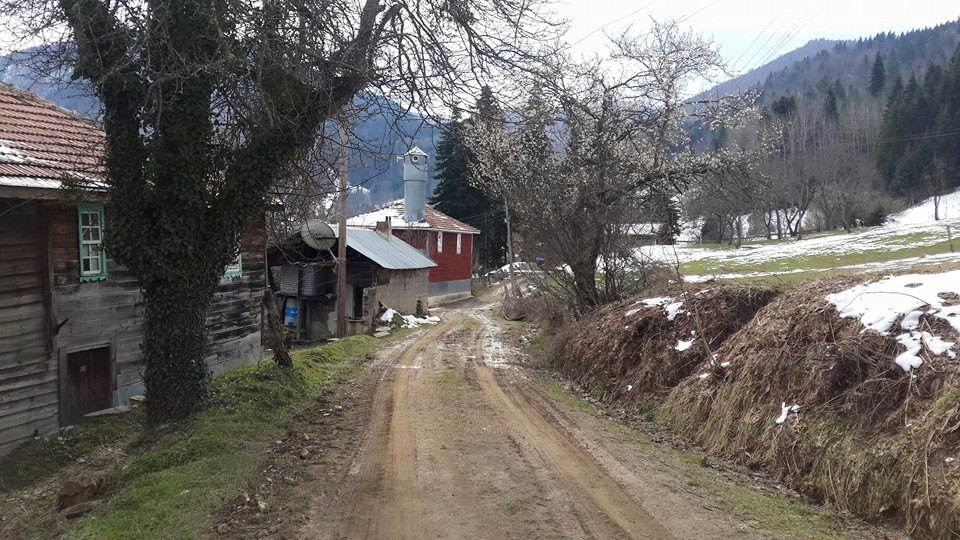 Ulukoy Resimleri Foto Galeri Ulukoy Net