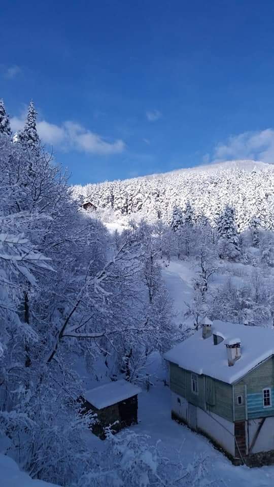 İnebolu Yuvacık Köyü Resimleri 12