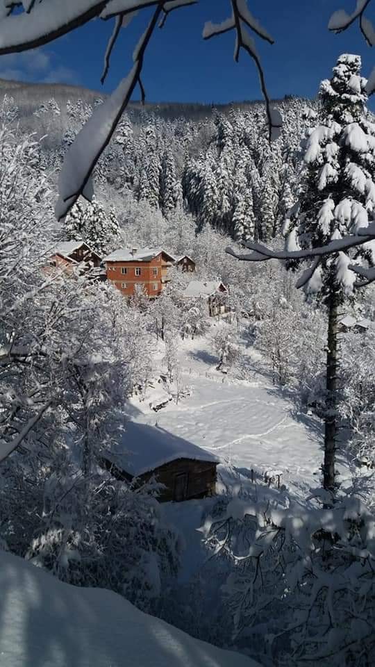 İnebolu Yuvacık Köyü Resimleri 13