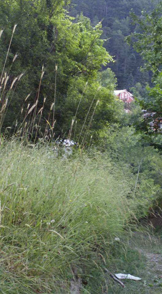 İnebolu Yuvacık Köyü Resimleri 4