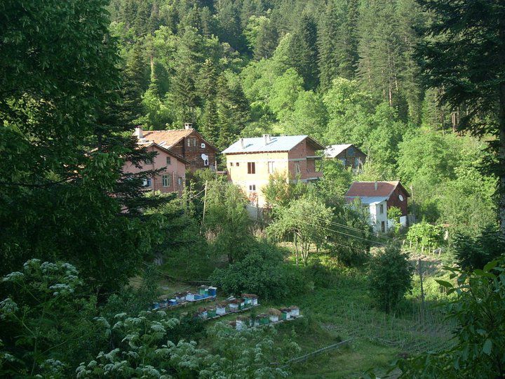 İnebolu Yuvacık Köyü Resimleri 8