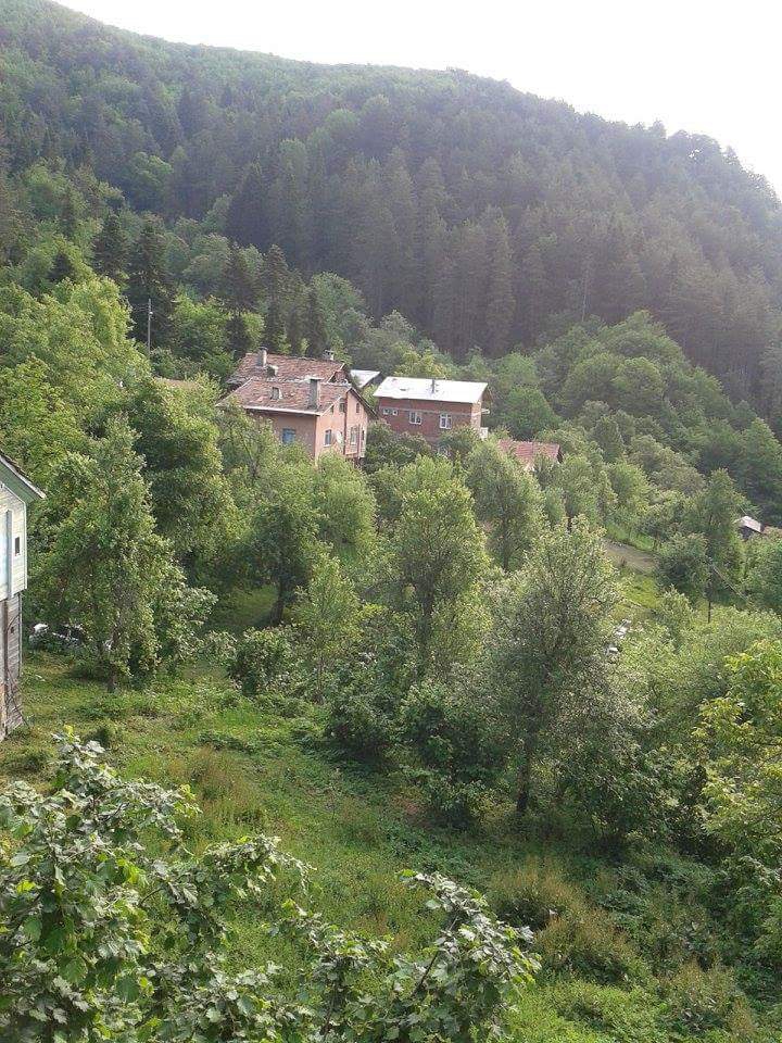 İnebolu Yuvacık Köyü Resimleri 9