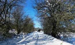 Mihalgazi Bozaniç Köyü Resimleri 2