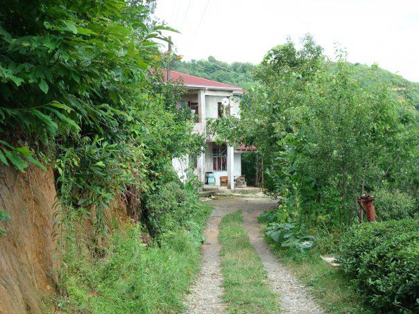Of Kıyıboyu Köyü Resimleri 11