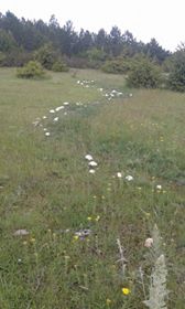 Mihalıçcık Çukurören Köyü Resimleri 2