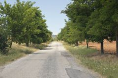 Mihalıçcık Korucu Köyü Resimleri 1