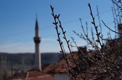 Mihalıçcık Korucu Köyü Resimleri 4