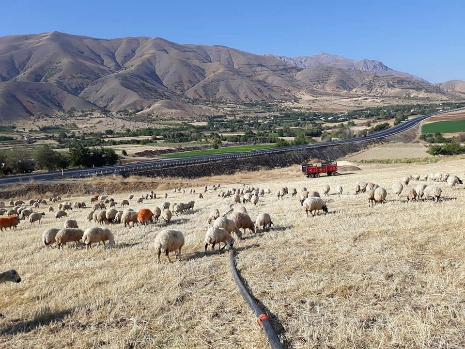 Baskil Çavuşlu Köyü Resimleri 4