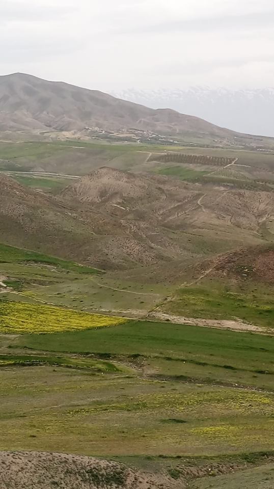 Baskil Habibuşağı Köyü 1