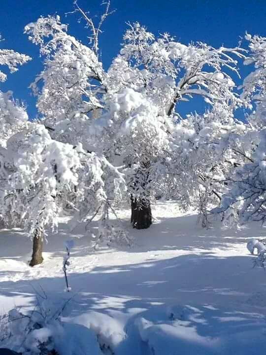 Baskil Hacıhüseyinler Köyü Resimleri 1