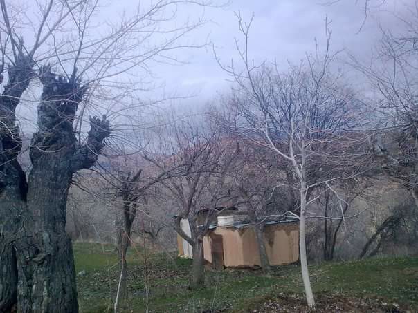 Baskil Hacımustafaköy Köyü Resimleri 4