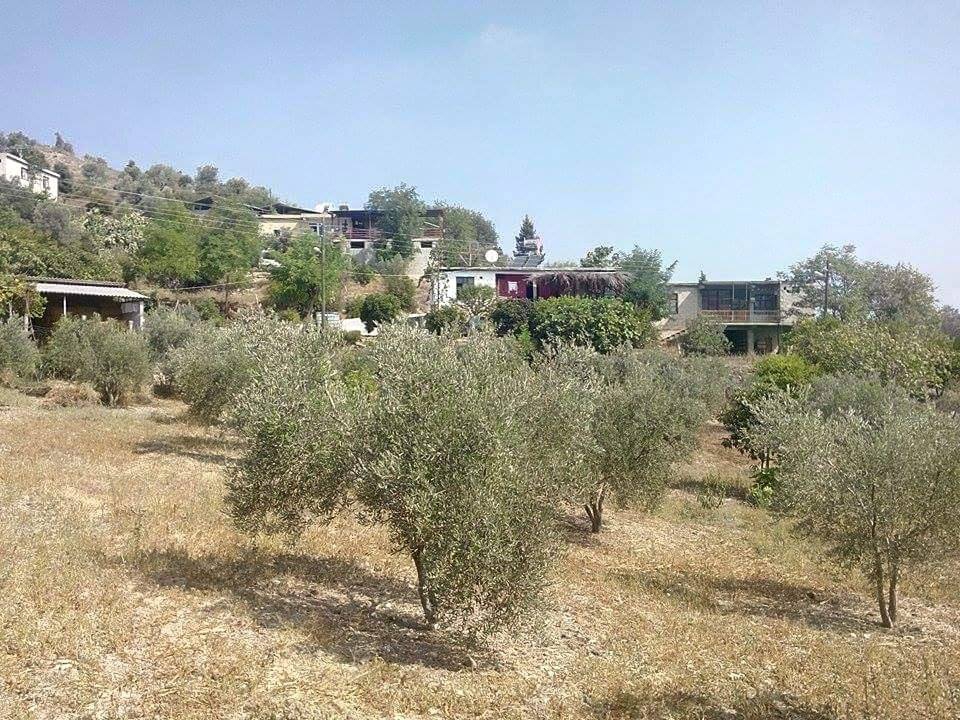 Adana Aladağ Topallı Köyü Resimleri 12