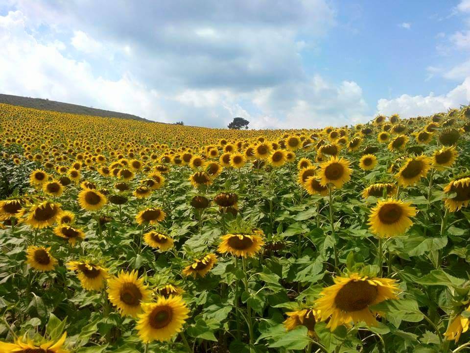 Adana Aladağ Topallı Köyü Resimleri 14