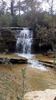 Adana Aladağ Topallı Köyü Resimleri 7