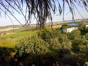 Adana Aladağ Topallı Köyü Resimleri