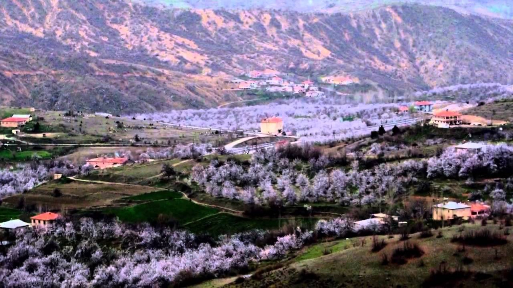 Baskil Karaali Köyü Resimleri 1