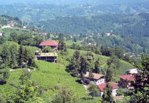 Of Korucuk Köyü Resimleri 3