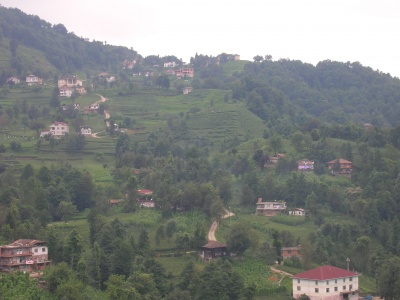 Of Korucuk Köyü Resimleri 4