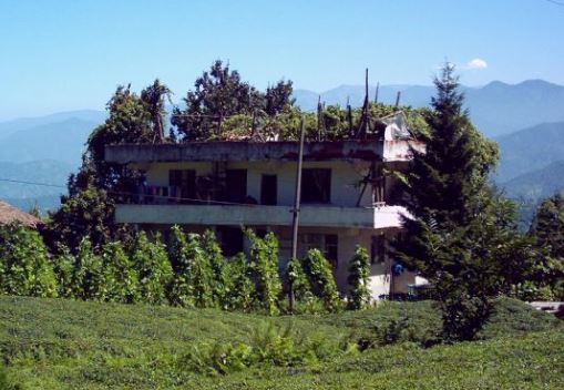 Of Korucuk Köyü Resimleri 5