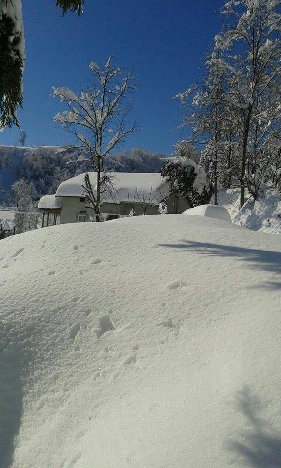 Of Korucuk Köyü Resimleri 9