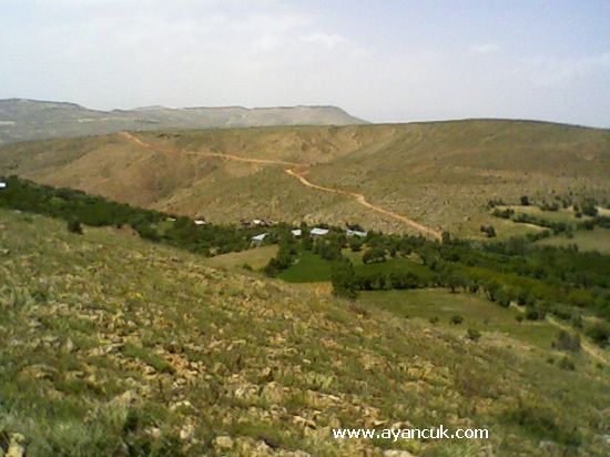 Baskil Şahindere Köyü Resimleri 2