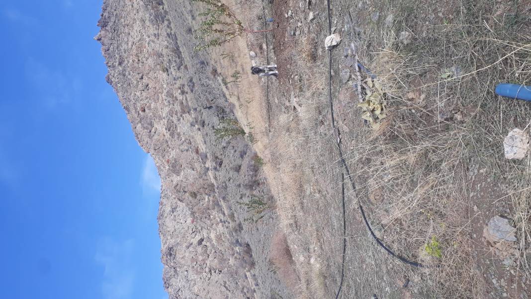 Baskil Yaylanlı Köyü Resimleri 6