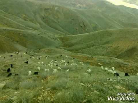 Baskil Yürekli Köyü Resimleri 3