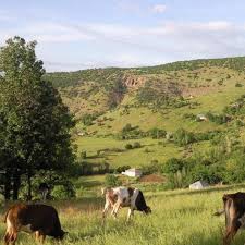 Karakoçan Alabal Köyü Resimleri 1