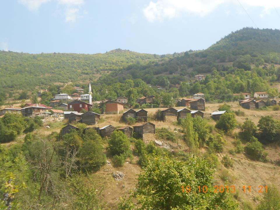 Küre Bürüm Köyü Resimleri 10