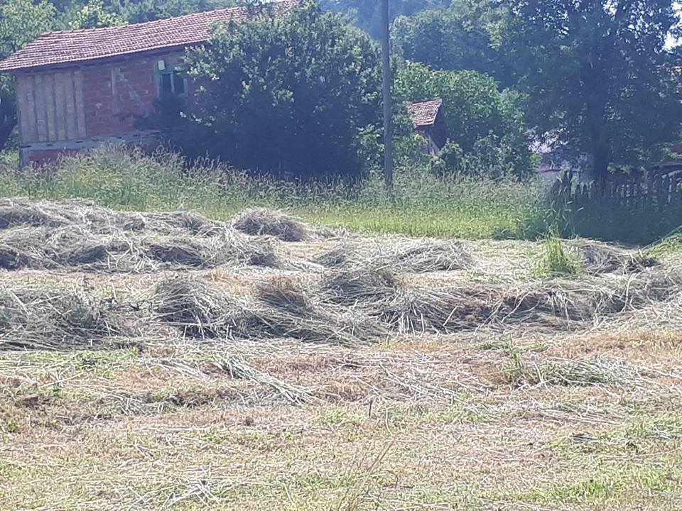 Küre Bürüm Köyü Resimleri 11
