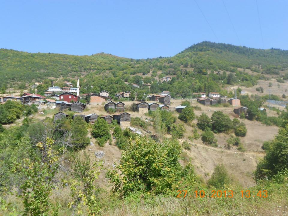 Küre Bürüm Köyü Resimleri 6