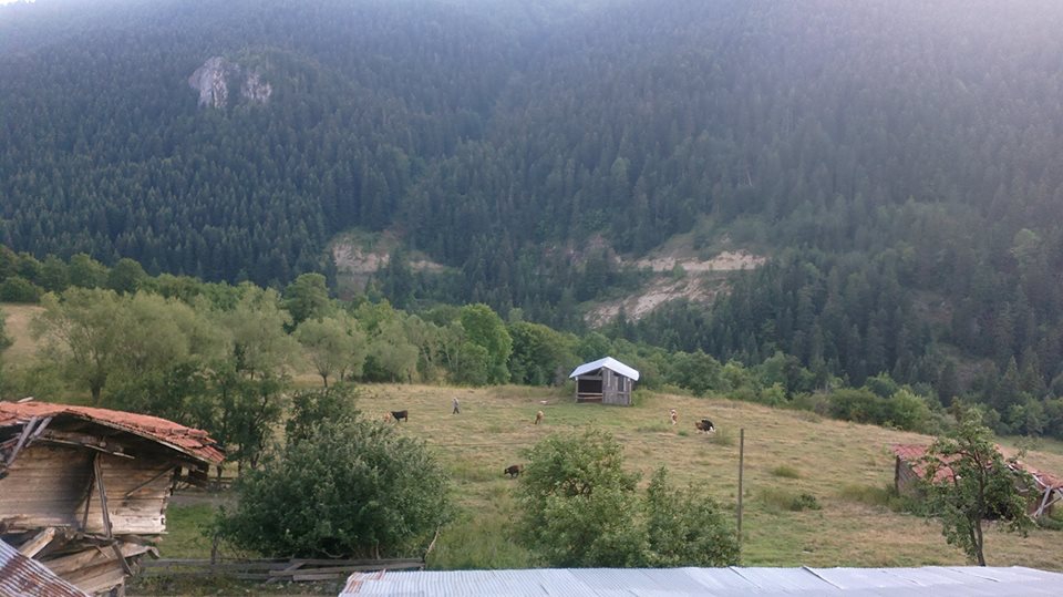 Küre Cambaz Köyü Resimleri 4