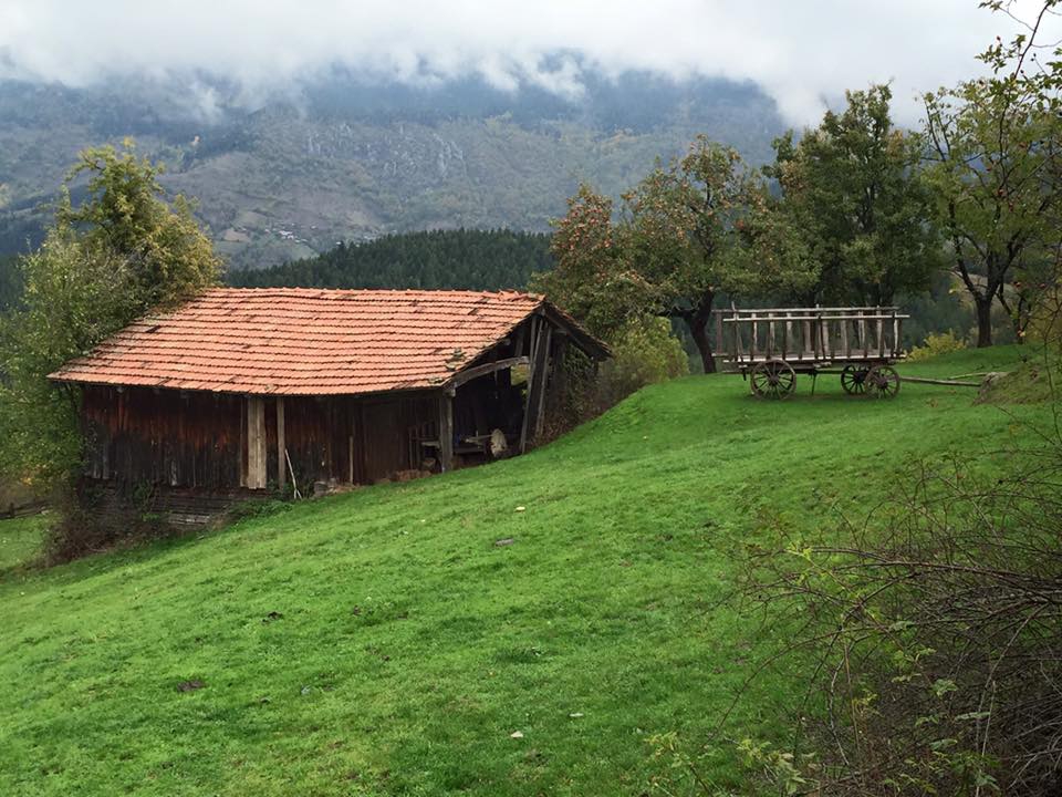 Küre Cambaz Köyü Resimleri 5