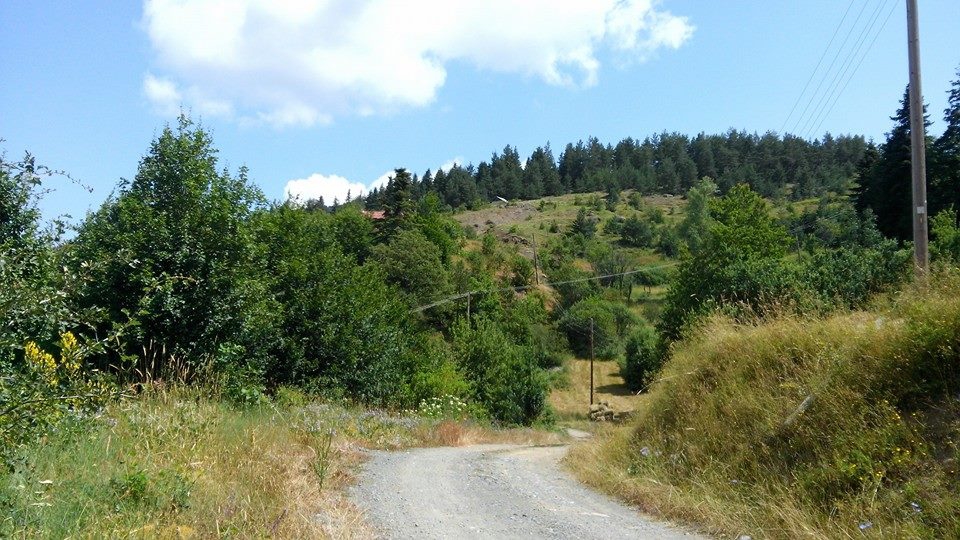 Küre Cambaz Köyü Resimleri 8