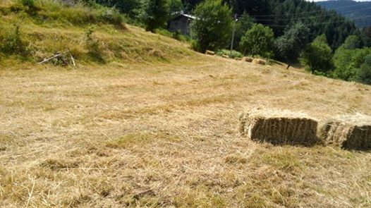 Küre Cambaz Köyü Resimleri 9