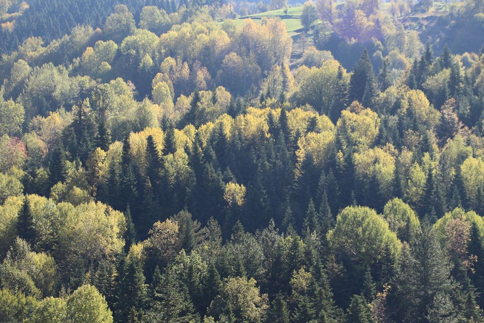 Küre Ersizler Köyü Resimleri 3