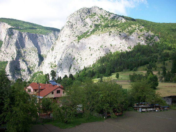 Küre Ersizler Köyü Resimleri 7