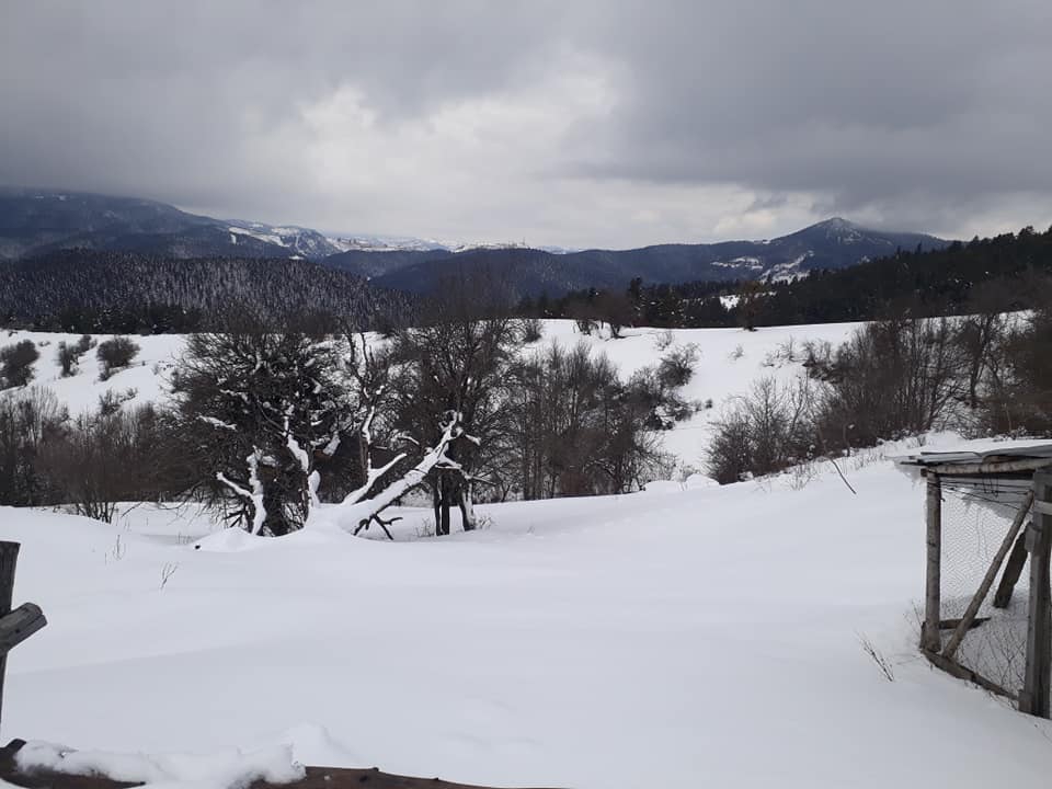 Küre İkizciler Köyü Resimleri 3