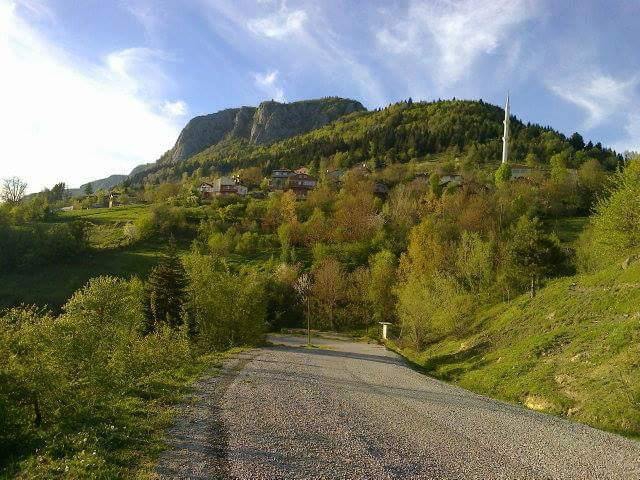 Küre Kesepınar Köyü Resimleri 1