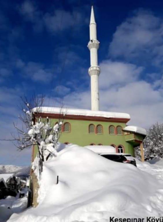 Küre Kesepınar Köyü Resimleri 2