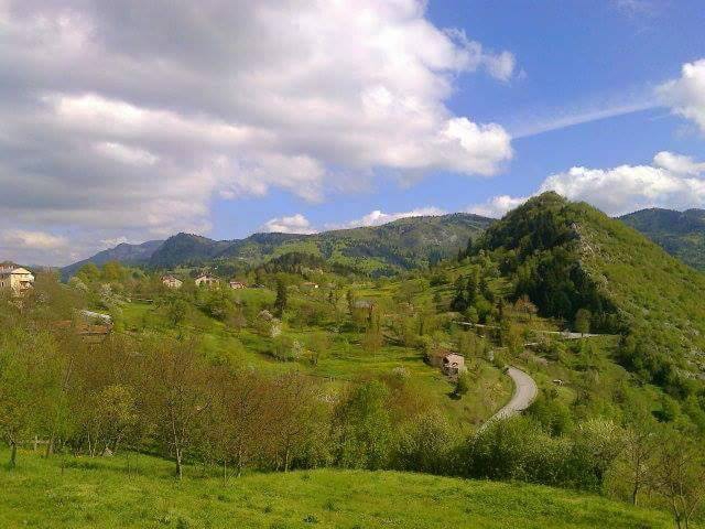 Küre Kesepınar Köyü Resimleri 3