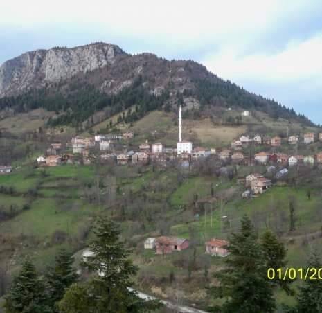 Küre Kesepınar Köyü Resimleri 4